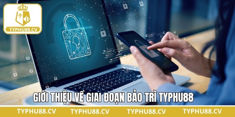 Tổng quan về quá trình bảo trì Typhu88