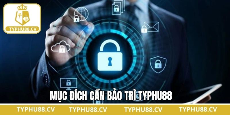 Cải thiện hiệu suất toàn diện của Typhu88